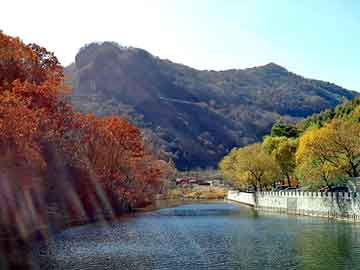 澳门二四六天天彩图库，九岁小蛊妃